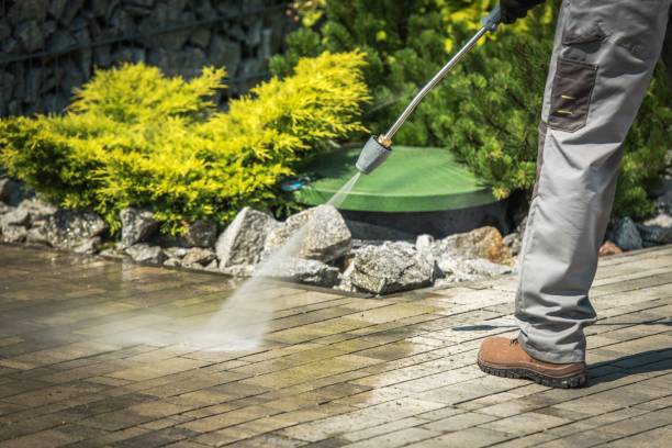 Best Winterizing Services  in Lapeer, MI