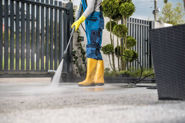 Best Sidewalk and Walkway Cleaning  in Lapeer, MI